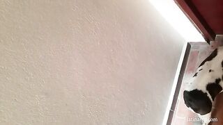 Ep 133 Maid Takes A Long Pounding | Amateur – W20